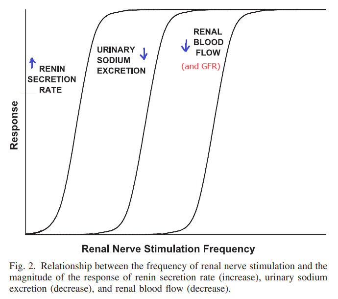 Relationship between frequency of renal nerve stimulation and the magnitutde of response of renin secretion, sodium excretion, and renal blood flow